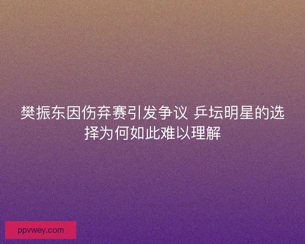 樊振东因伤弃赛引发争议 乒坛明星的选择为何如此难以理解